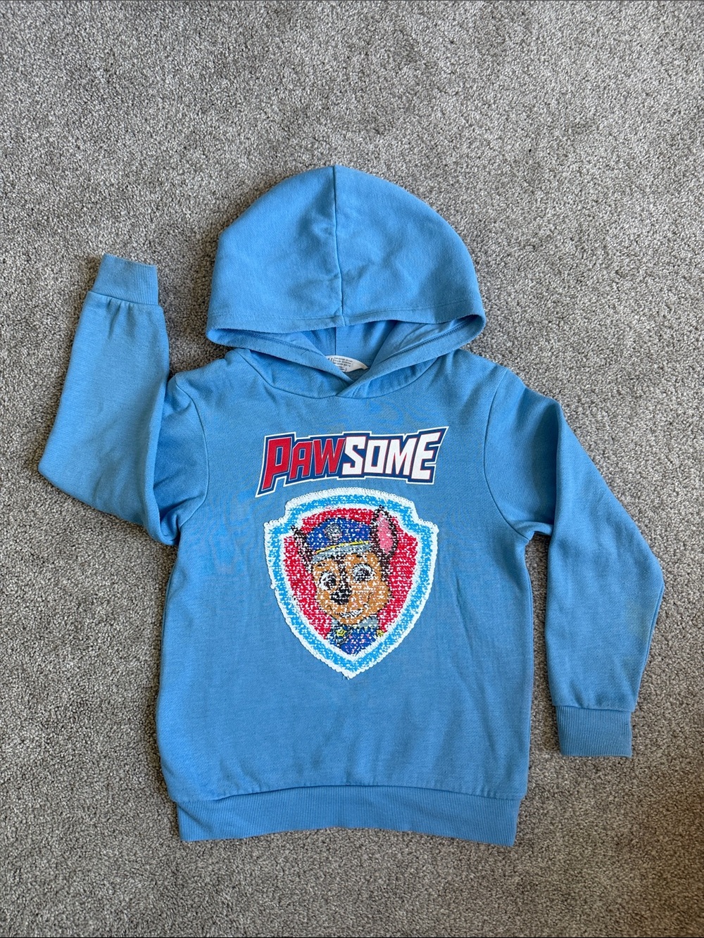 H&M Blue 'Pawsome' Hooded Kids Sweatshirt